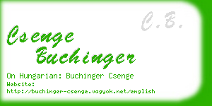 csenge buchinger business card